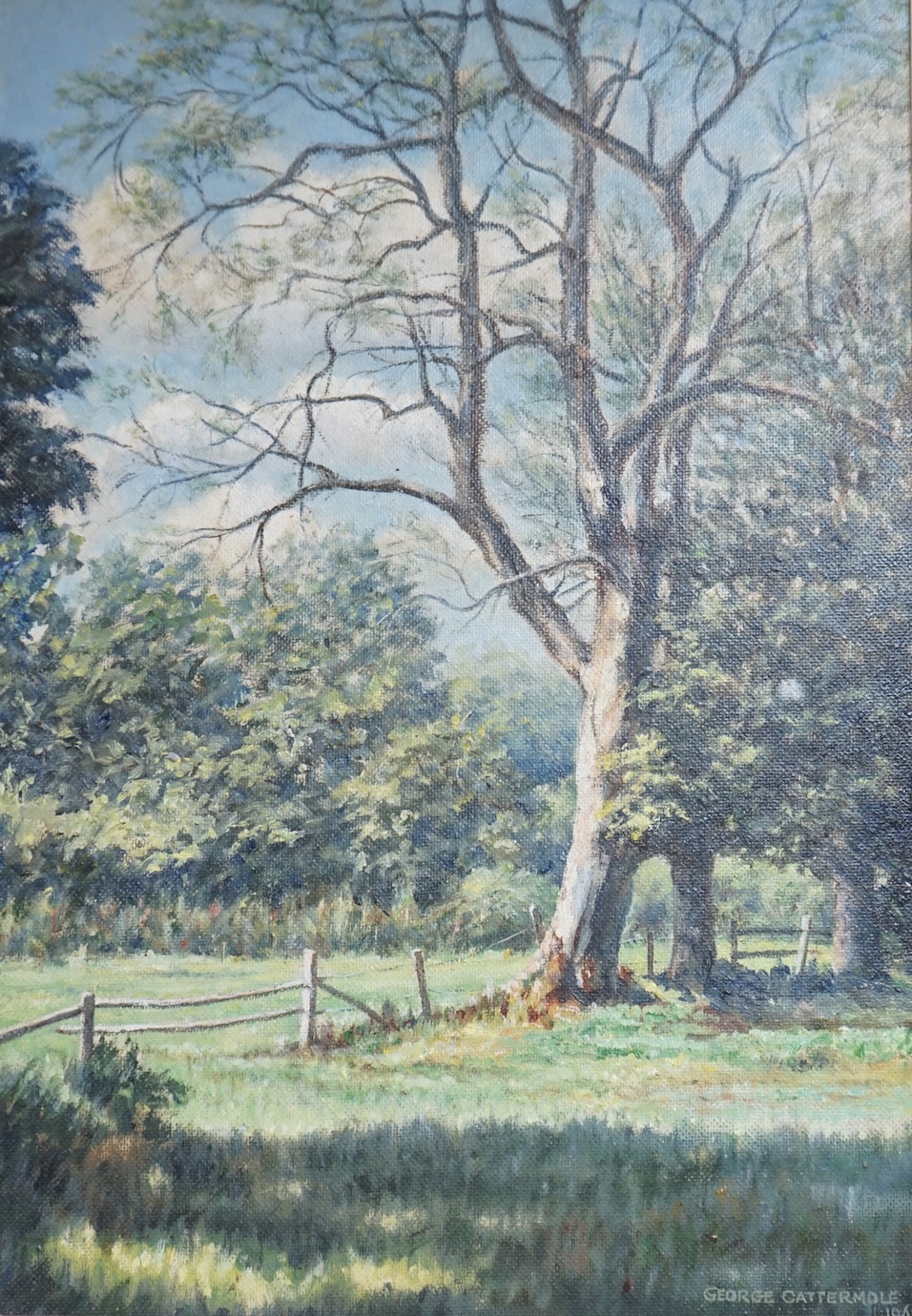 George Cattermole FRSA, oil on canvas board, Wooded landscape, signed and dated 1962, 52 x 36cm. Condition - good